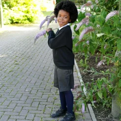 50 Denier Kids Tights - Navy