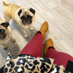 80 Denier Opaque Tights - Burgundy