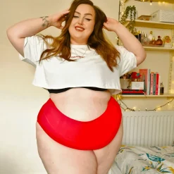 Organic Cotton Full Brief Knickers - Lobster