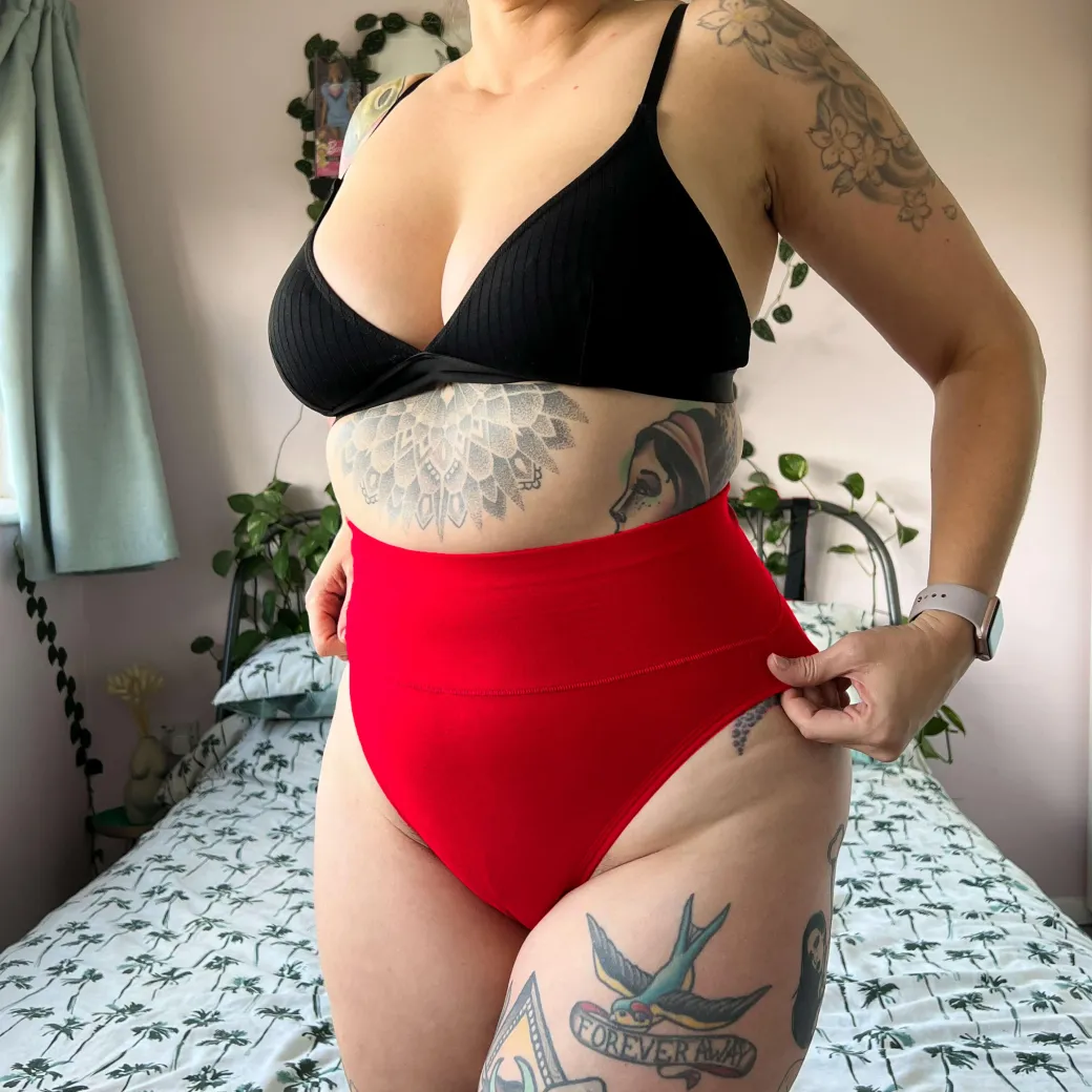 Organic Cotton Super High Leg Knickers - Lobster