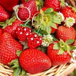 Strawberry Beaded Earrings
